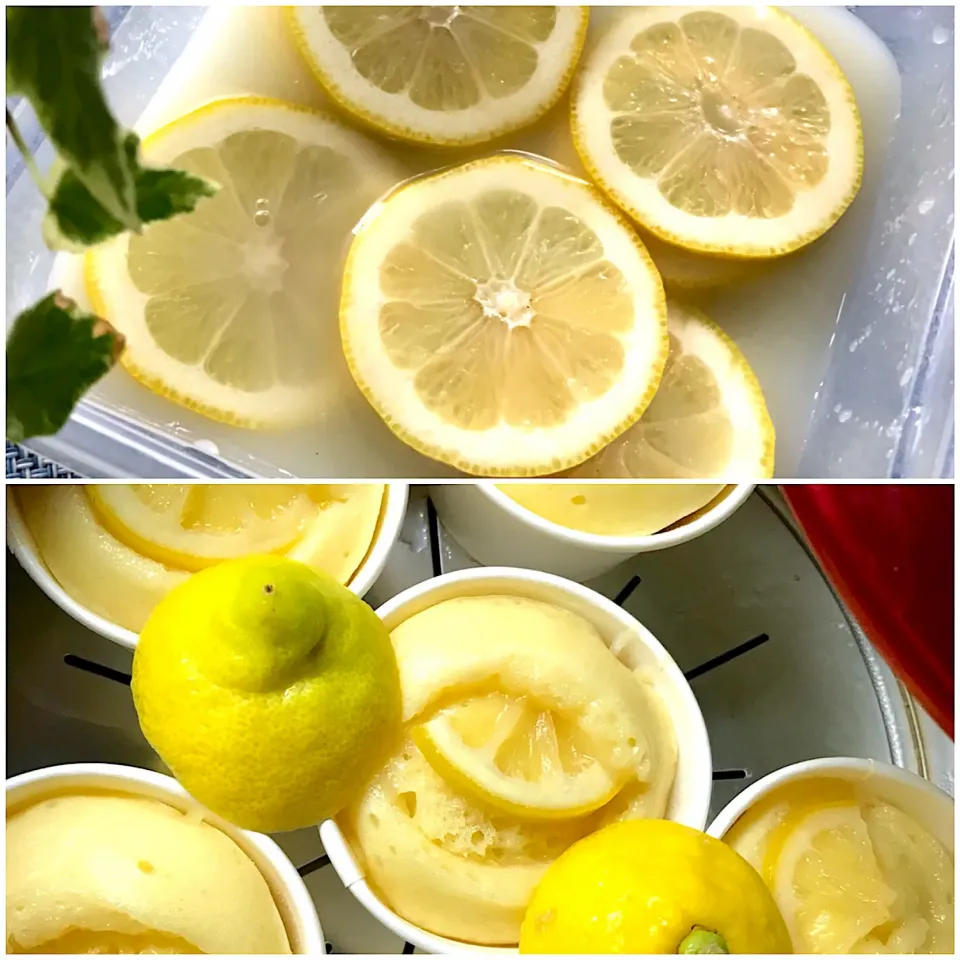 砂糖漬けレモンとカルピス蒸しパン🍋|シュトママさん