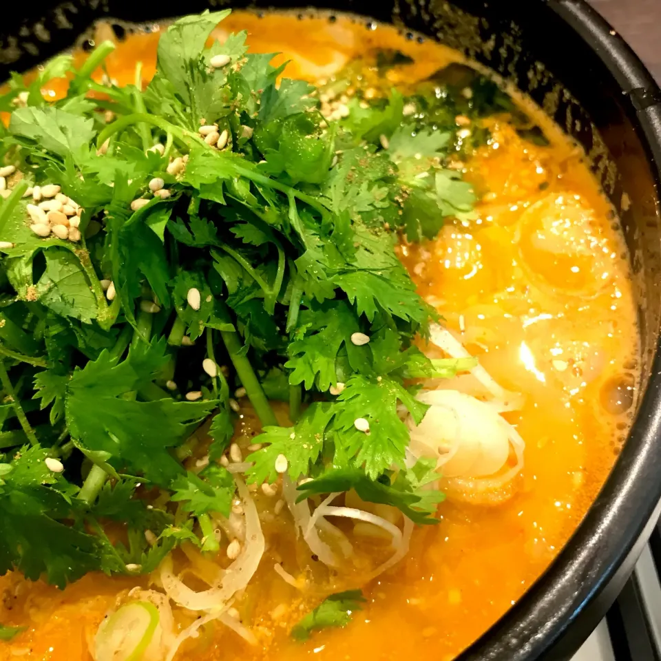 今日も元気にパクチー担担麺|リュカさん