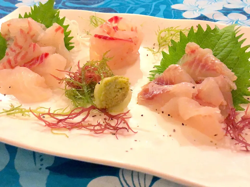 鯛のお造り
自分で釣った鯛をお造りにしてもらいました|神力屋 火酒さん