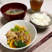 Snapdishの料理写真:鶏肉とブロッコリーとパプリカのマヨ炒め|はまーりさん