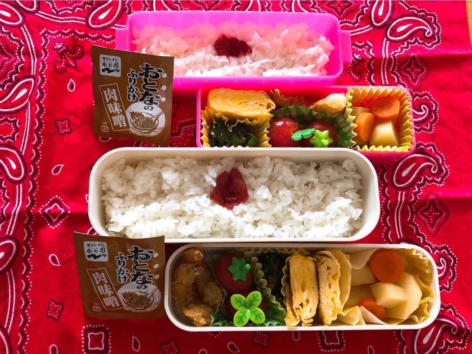 Snapdishの料理写真:2018/07/17(火) 夫弁当&娘弁当🎵|kiyominさん