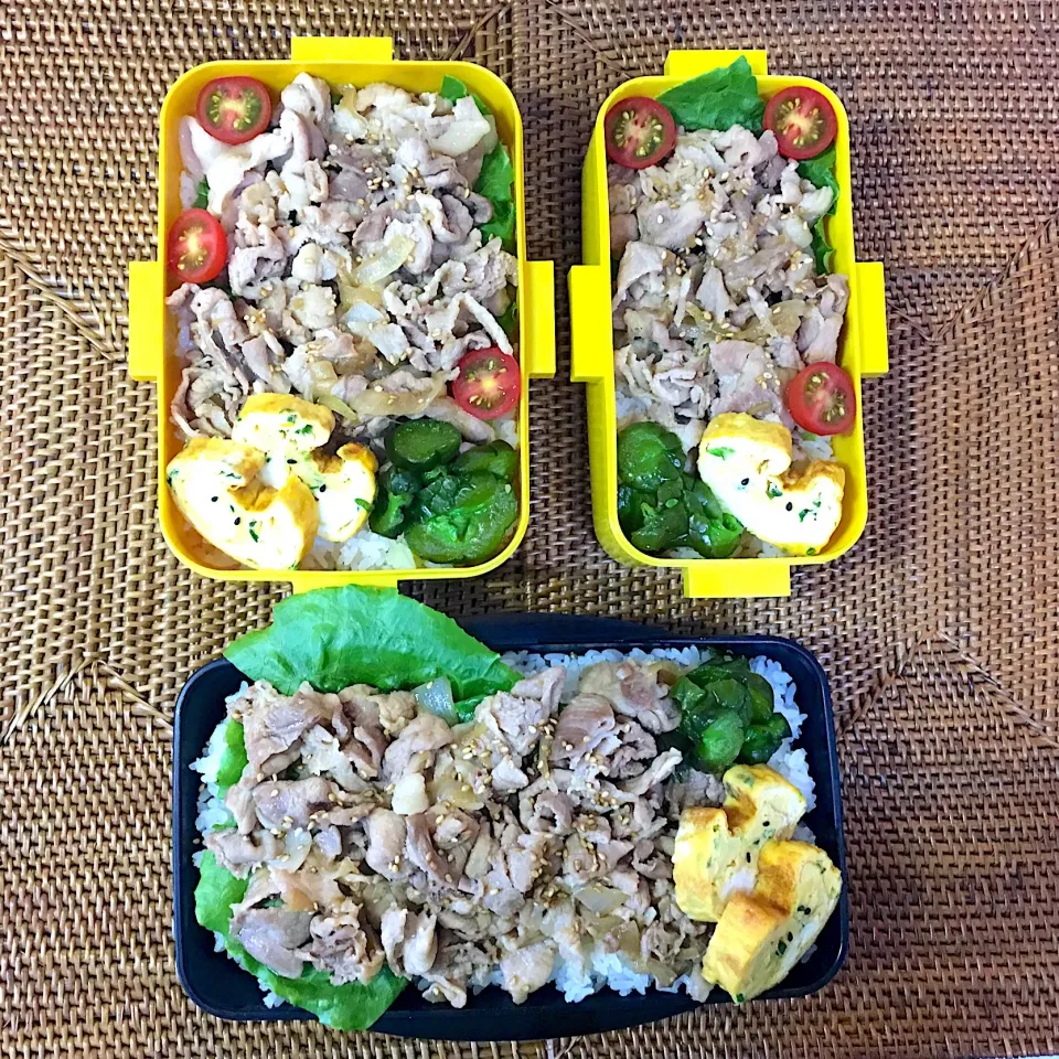 Snapdishの料理写真:#中高生弁当  #父ちゃん弁当  #のっけ弁当  #生姜焼き丼  #ねこちゃん卵焼き😸|よちこさん