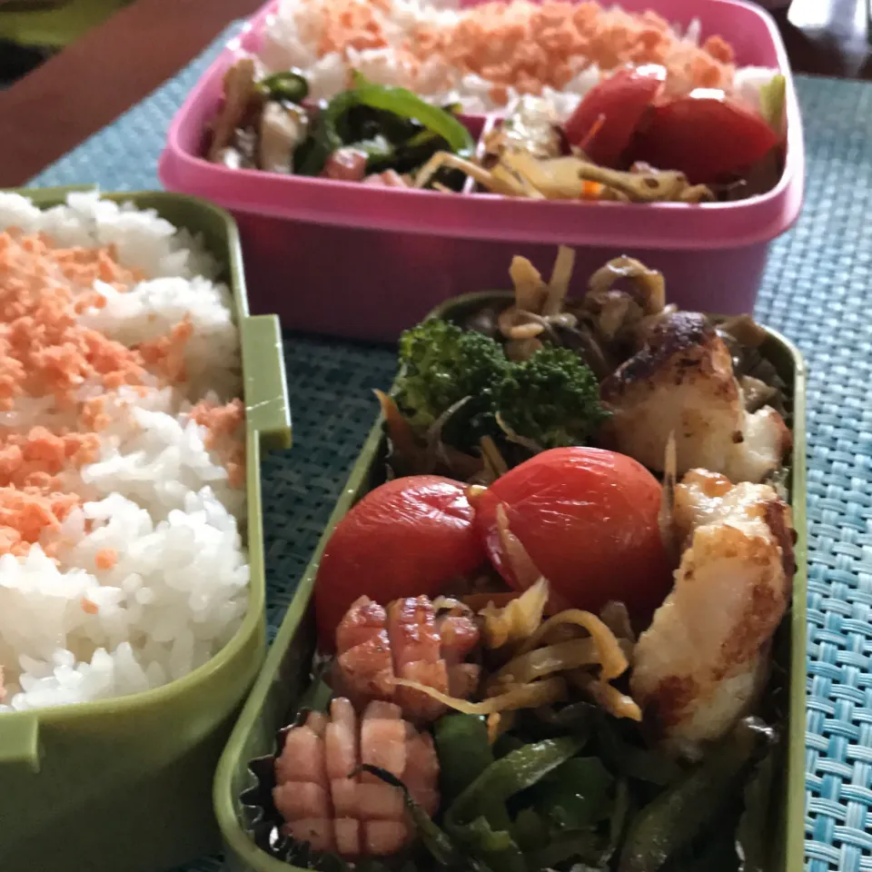 今日のお弁当🍱

白身魚のパン粉焼き🐟

今日も朝から
暑いです😵

熱中症対策
紫外線対策を
充分にm(_ _)m

今週は
火曜スタートです。
今週も笑顔で
過ごせますように

気をつけていってらっしゃい👋😊|mokoさん