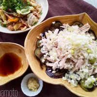 Snapdishの料理写真:ぷっくりんこ💙➰reiちゃんの焼きナスの茹で鶏と葱のせ🍆子供の頃いちばん好きだったおかず٩꒰｡•◡•｡꒱۶