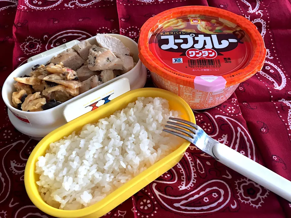 お弁当、鶏胸肉のソテー、肉炒り玉子、札幌スパイシースープカレーワンタン|Tadahiko Watanabeさん