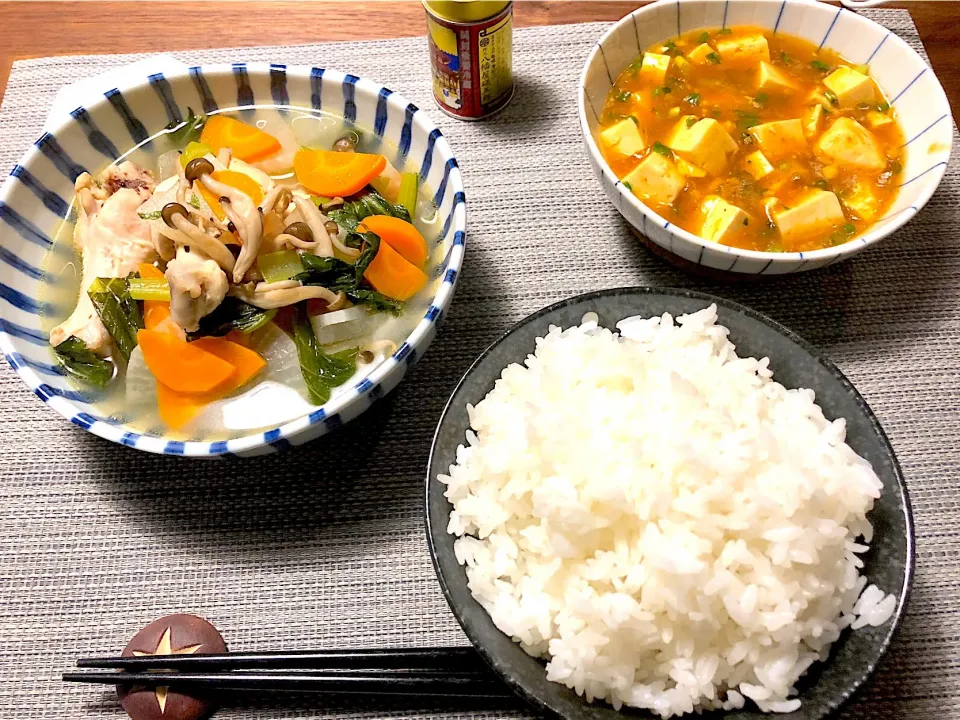 Snapdishの料理写真:#鶏肉煮込み#麻婆豆腐|zoemocさん