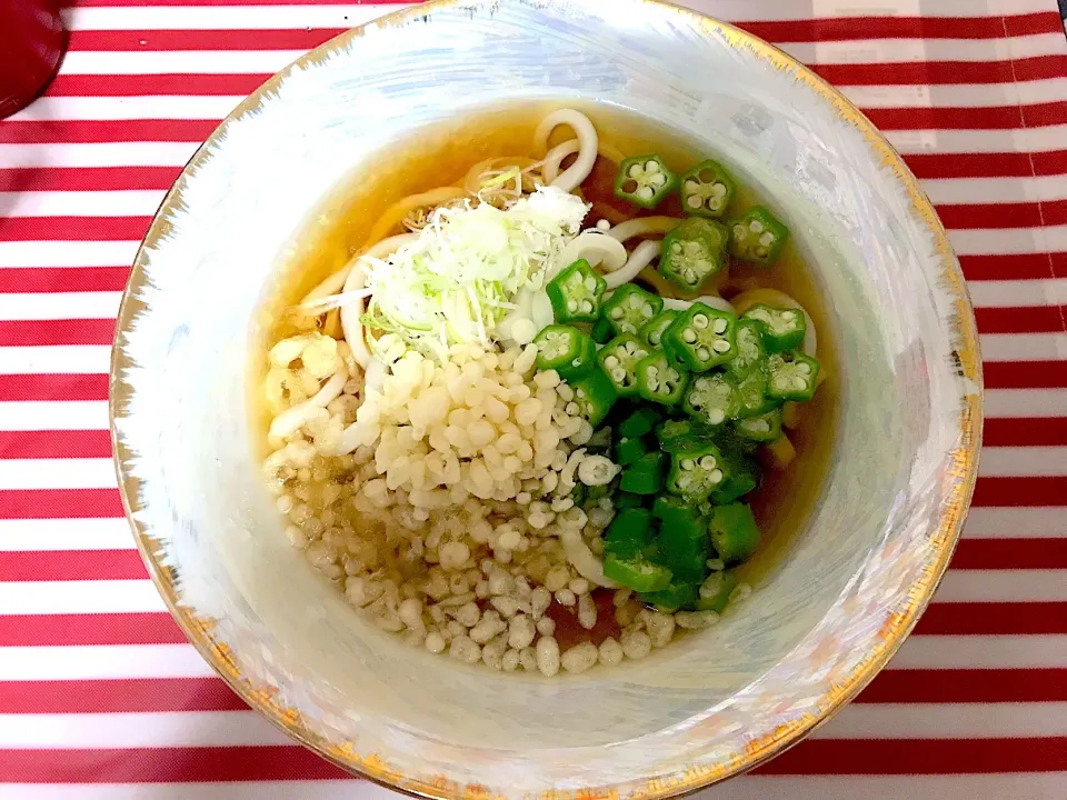 Snapdishの料理写真:冷やしたぬきうどん|めぐひめさん