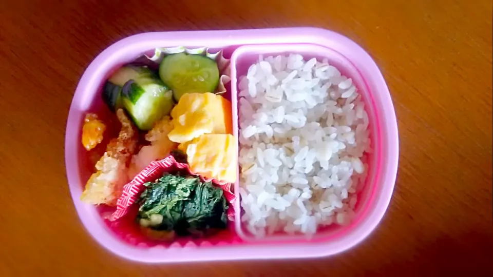 今日から始まる夏弁当 
#麦ご飯 #エビマヨ #浅漬け #卵焼き #ほうれん草おひたし #カレイソテー|まきごろうさん