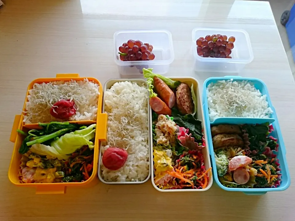 #中学生のお弁当 #小学生のお弁当|Yoko Hattoriさん