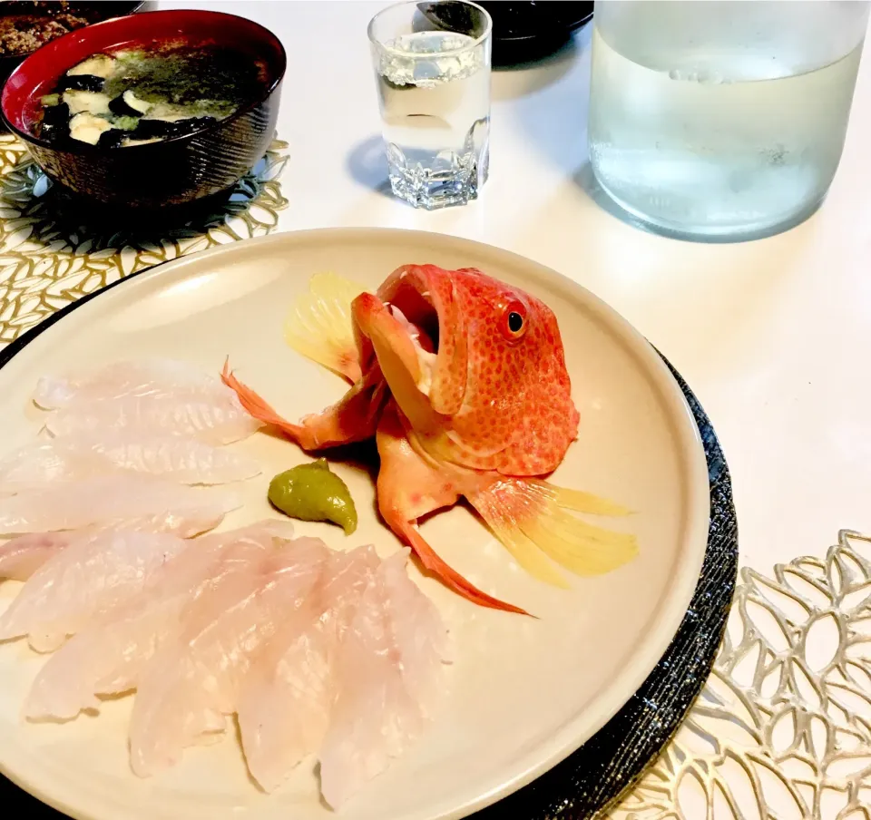 釣りバラハタ/ 薔薇羽太のお造り 海賊風                                              極上の甘みと旨味の白身。                          石垣島産|酒肴菜 kun                          自 2018.5.1さん