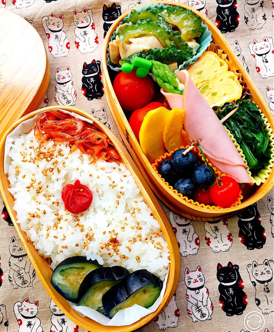 #和食弁当  #お父さん弁当  #お弁当  #日の丸弁当 
 #お弁当じまん  #メンズ弁当  #さくらんぼ 
#blueberry  #ブルーベリー  #庭で採れたシリーズ  
#ゴーヤーチャンプルー #アスパラ&ハム 
 #水茄子の漬物  #葱入りの玉子焼き  #野菜たっぷり
 #小松菜のお浸し  #コリンキーピク|Blueberry🫐さん