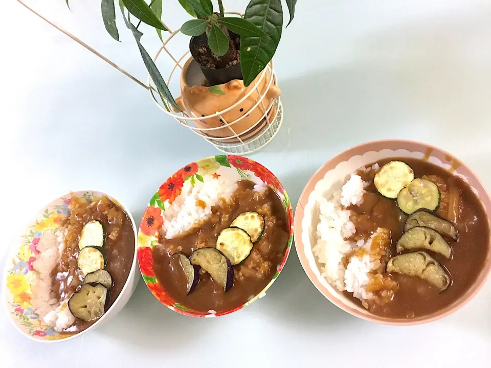 Snapdishの料理写真:2018/07/21 冷蔵庫の中の余り物で夏カレー！|愛華さん