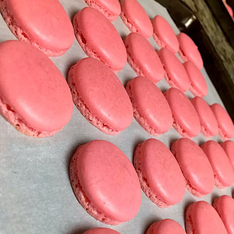 Raspberry French Macaron Shells|jan renaeさん