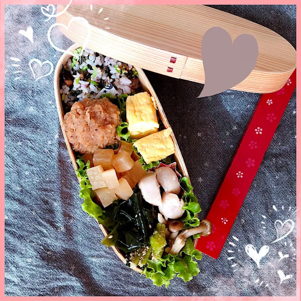 ７／２３ ｍｏｎ
和風おろしハンバーグ弁当🍴|rinaronarさん