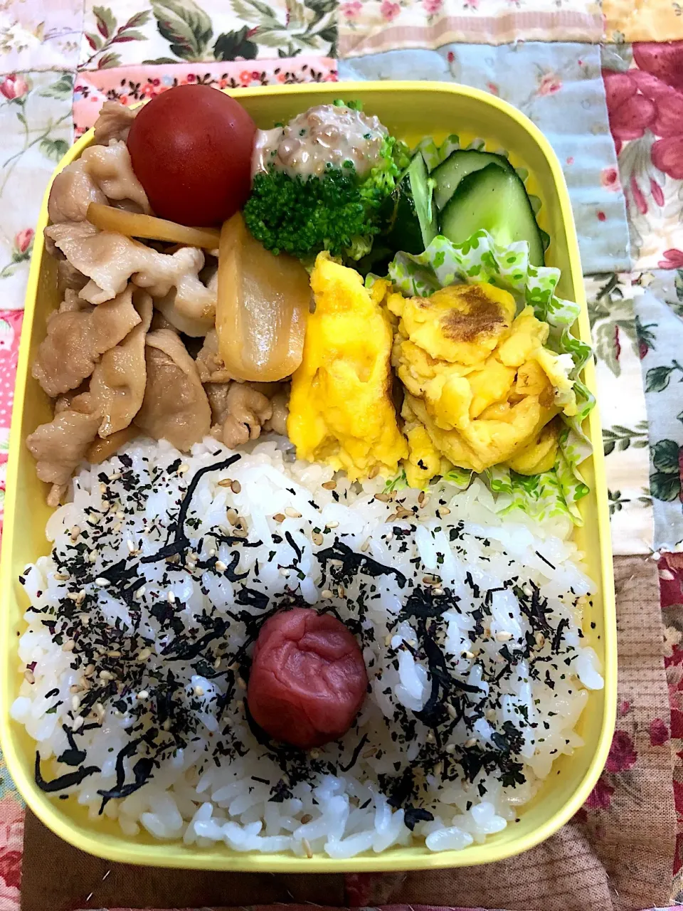 豚とメンマの炒め煮 きゅうりあっさり漬け 卵焼き ブロッコリー弁当。|Kumiko Kimuraさん