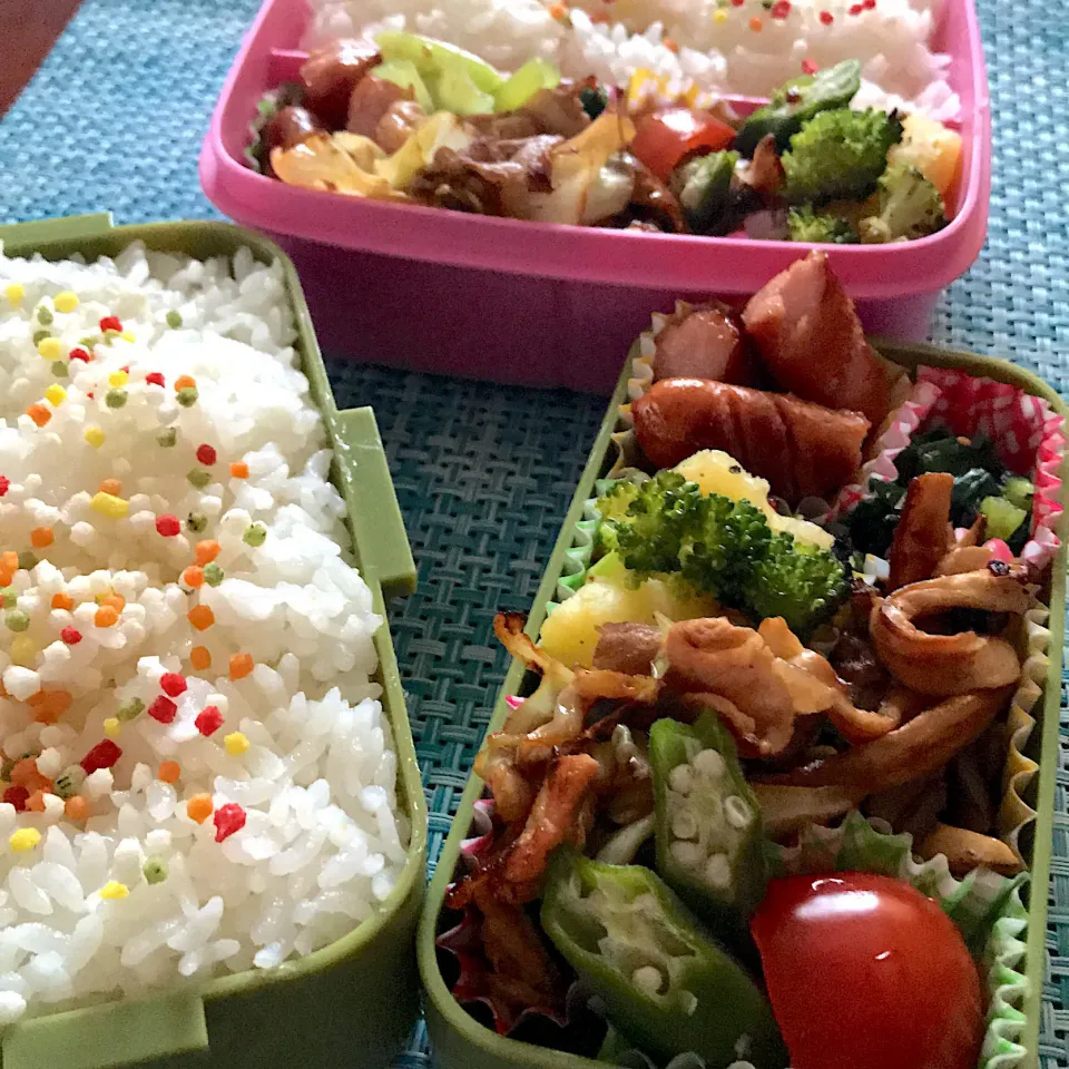 今日のお弁当🍱
豚とキャベツのポン酢炒め

今日も朝から暑いです😵
水分しっかり
栄養しっかりで
一日頑張って
まいりましょう٩( 'ω' )و

今日も笑顔で
いってらっしゃい👋😊|mokoさん