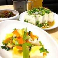 Snapdishの料理写真:豆腐ダイエット進行中 (￣▽￣)
（湯豆腐、高野豆腐の煮物、糸こんにゃくの炒め物）|赤いウインナーさん