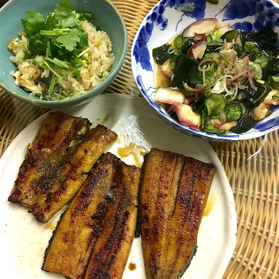 うなぎの蒲焼きとひつまぶし|なーまりさん