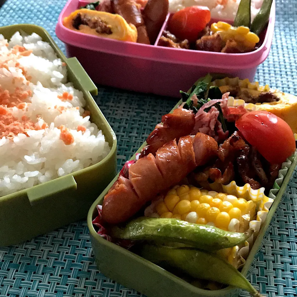 今日のお弁当🍱
夏野菜
たくさん食べて
元気だしてね

今日も気をつけて
いってらっしゃい👋😊|mokoさん