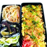 Snapdishの料理写真:今日はカツ丼弁当☆もやしとハムの和え物☆蒸しナスの中華ドレッシング☆長ネギとわかめのナムル|ゆきさん