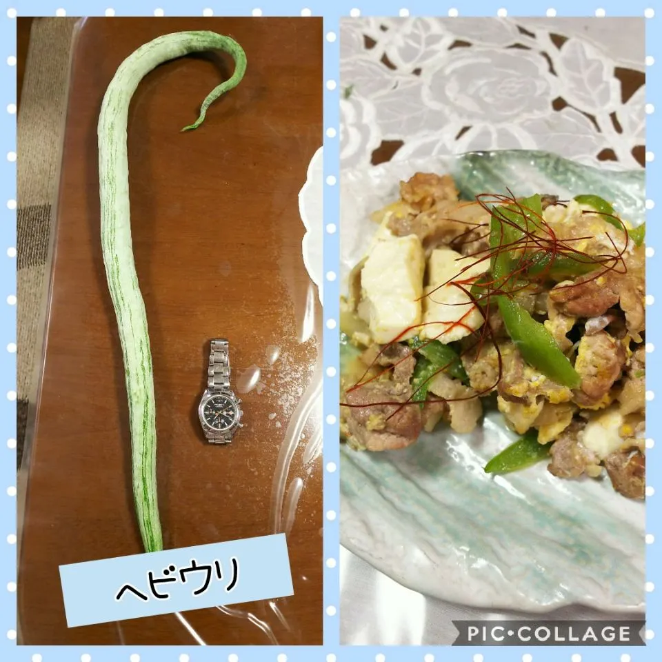 🐍ヘビウリのチャンプルー🐍|Mihoさん