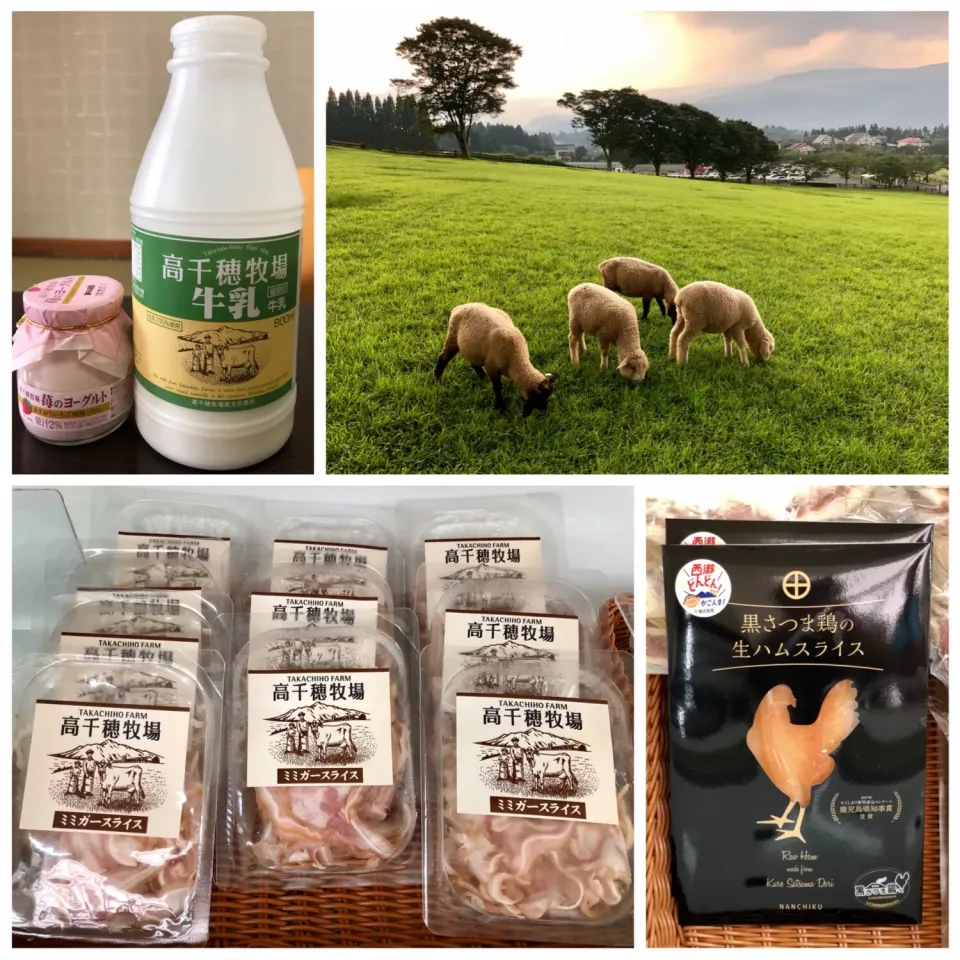 Snapdishの料理写真:九州の旅 Day 5 🇯🇵
高千穂牧塲🐮🐏|Doris Wong 🐰さん