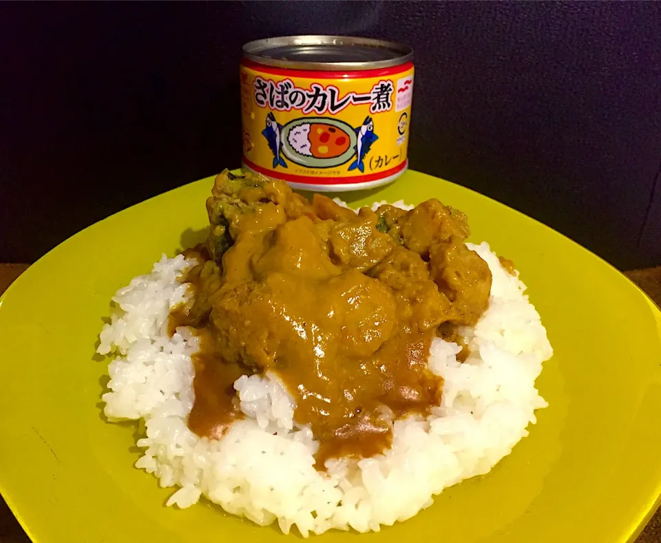 Snapdishの料理写真:鯖缶のカレー|Shin_chanさん