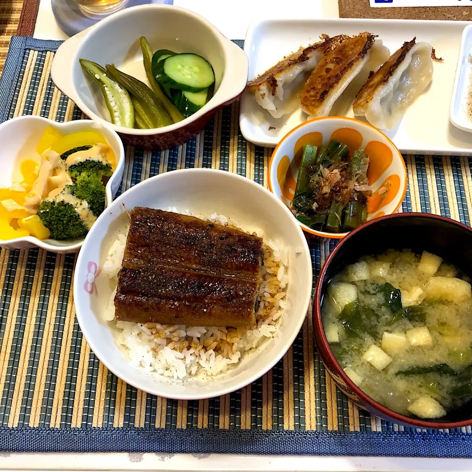 うなぎ丼♡2018/07/27|ちび太さん