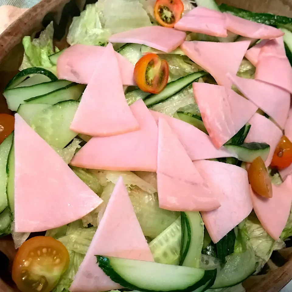 ハムサラダ🥗|純さん