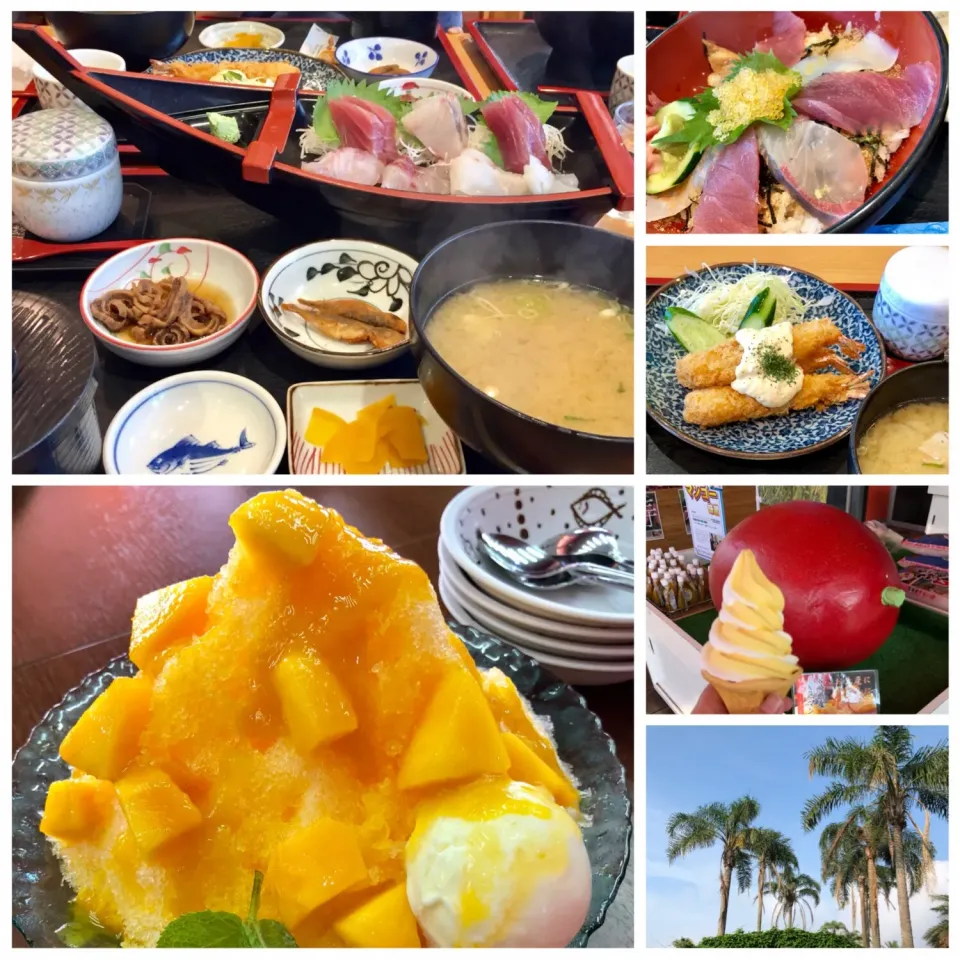 Snapdishの料理写真:九州の旅 Day 6 🇯🇵
目井津港 🐟🦐
🌴道の駅 なんごう🍨|Doris Wong 🐰さん