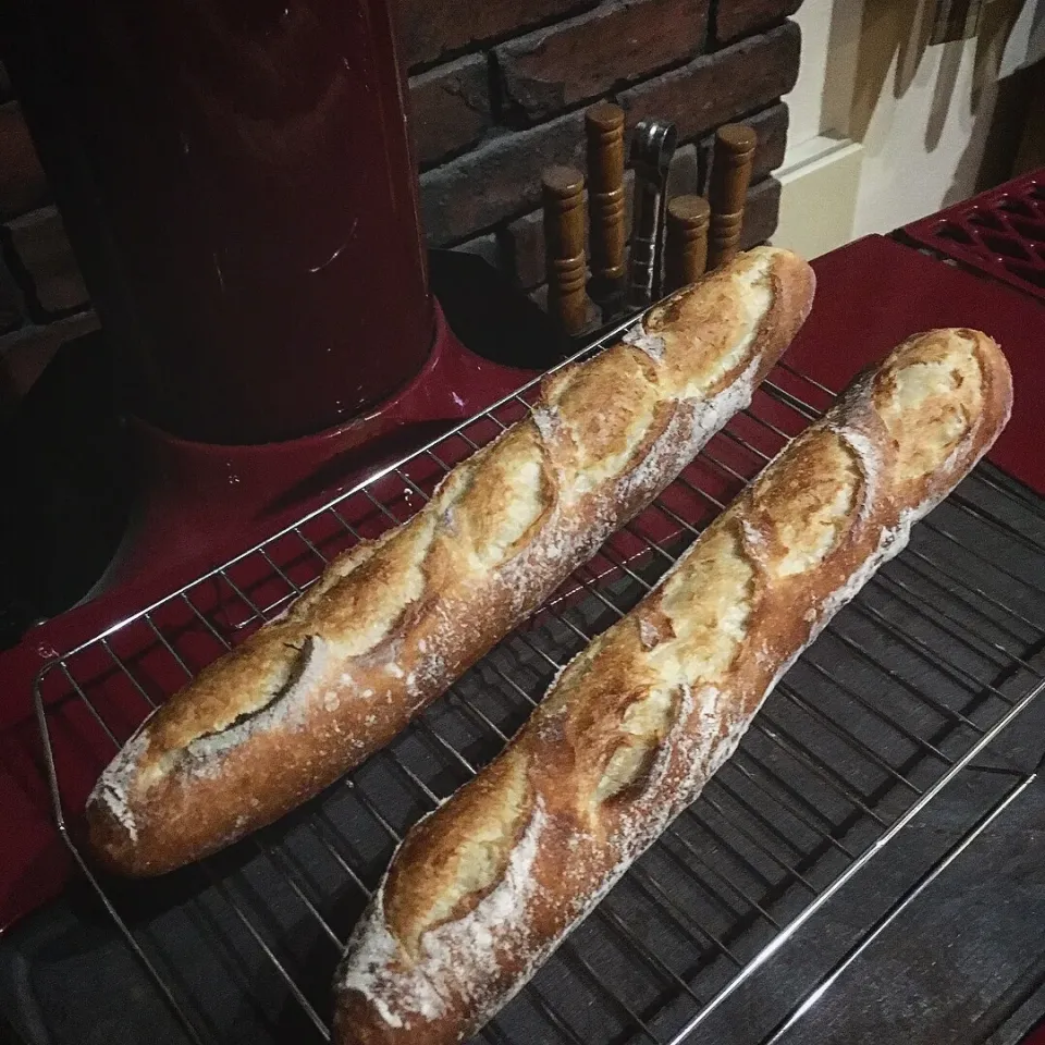 ホシノ酵母のバゲット🥖|カンカンさん