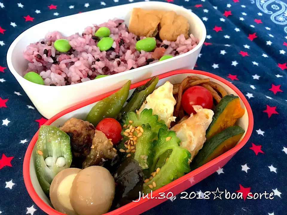 夫弁当☆妹差し入れおかず☆茄子煮物 シシトウ昆布和え😋|kaoriさん