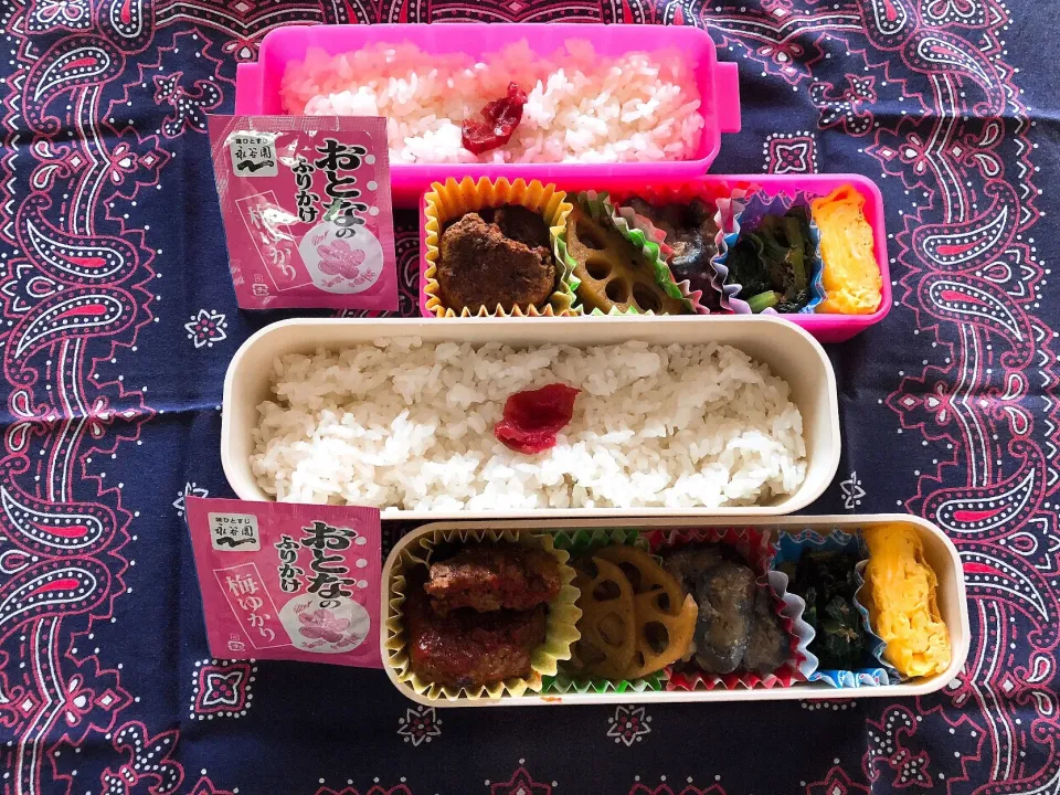 Snapdishの料理写真:2018/07/31(火) 夫弁当&娘弁当🎵|kiyominさん