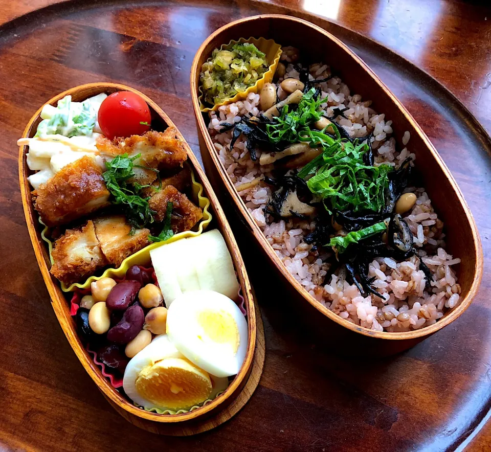 本日もお弁当🍱チキンソースカツ🥩マカロニ🥗ネギ漬物🥦大根辛子漬け🥗ゆで卵🥚 #息子弁当  #わっぱ弁当  #チキンカツ  #丼  #ネギ  #漬物  #プチトマト🍅  #札幌  #中島公園|Yukie  Toriseさん