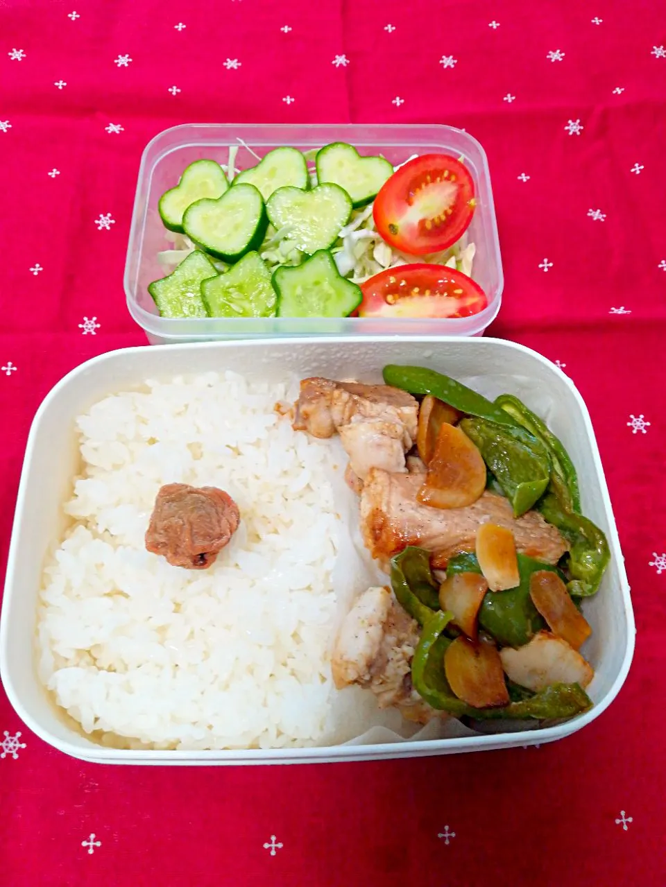 Snapdishの料理写真:夏野菜のにんにくポークソテー弁当🍱|とにおさん