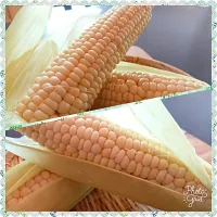 Snapdishの料理写真:白いトウモロコシ頂きました🌽|Moubuさん