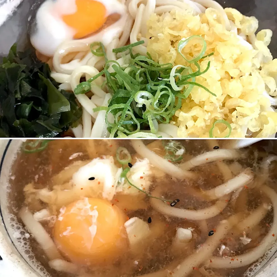 うどん 冷、温|純さん