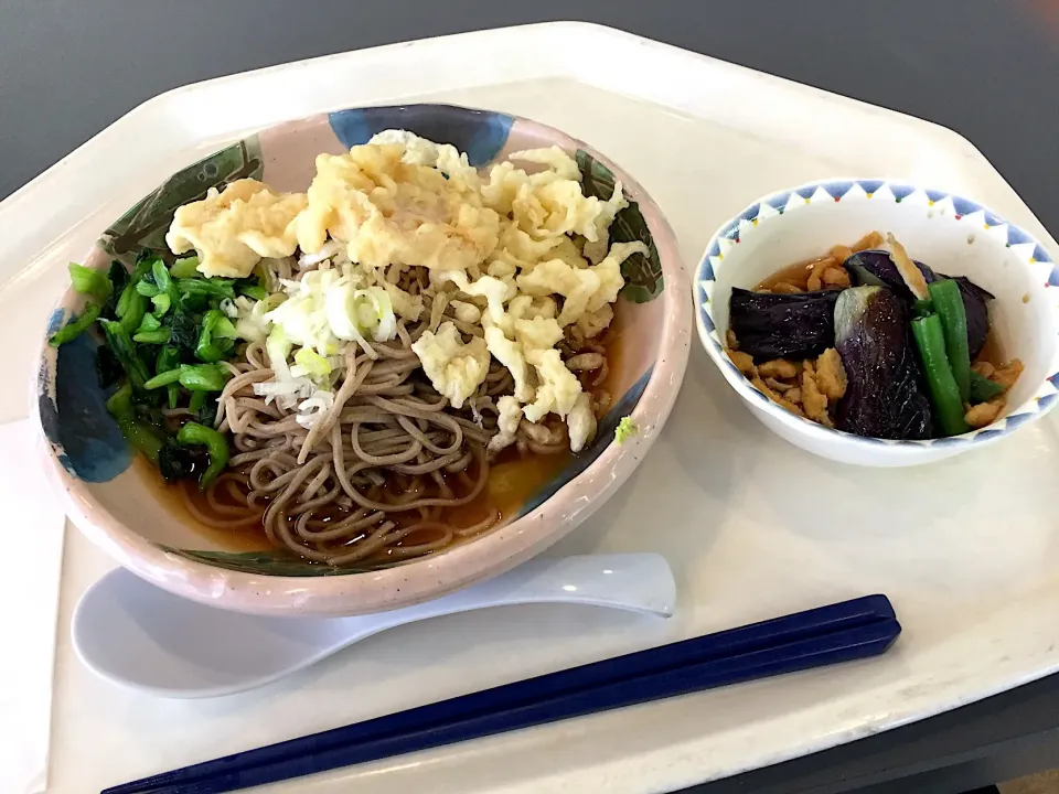 冷しぶっかけそば、はす天、茄子の煮浸し|Tadahiko Watanabeさん