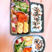 2人分お弁当🍱|りこさん