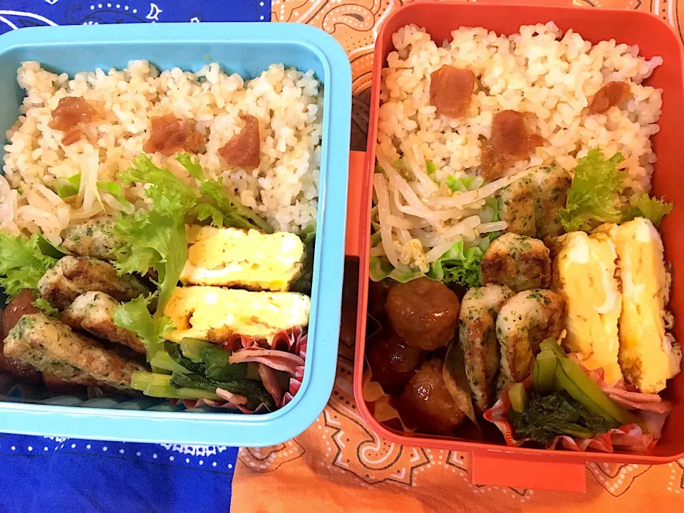 8/8今日のお弁当♫〜ミートボール、ちくわの磯辺揚げ、だし巻き卵、小松菜とベーコン炒め、もやしの酢の物〜|Satokoさん