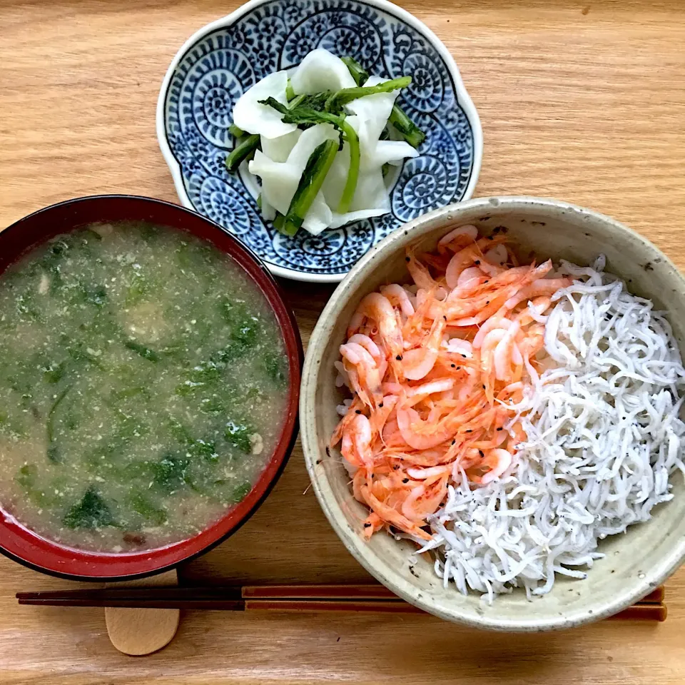 桜エビとシラスの二色丼|Hiromi Isonagaさん