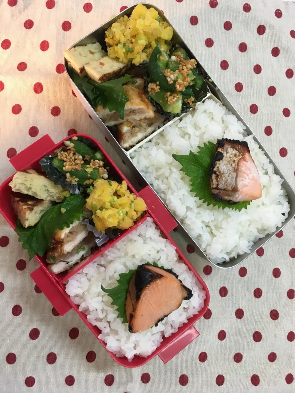 Snapdishの料理写真:8月8日 週の中日弁当🍱|sakuramochiさん