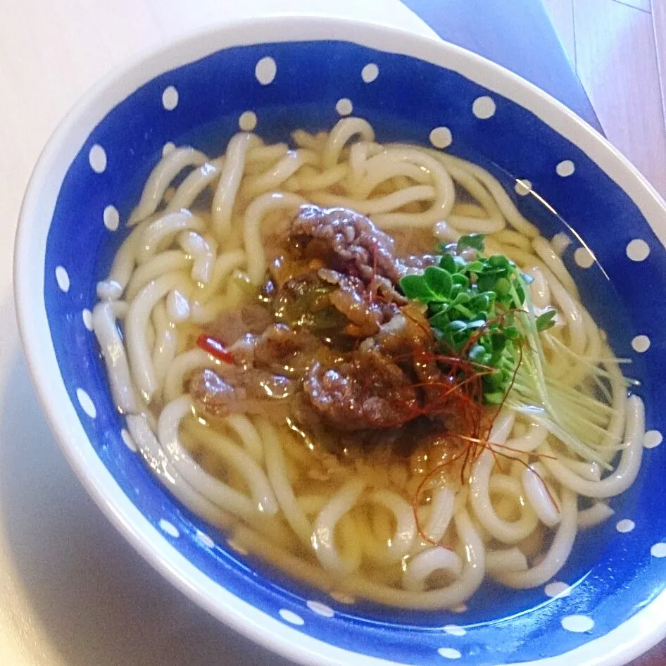 Snapdishの料理写真:牛肉と白葱の甘辛生姜煮の細麺うどん|mi_neneco♪さん