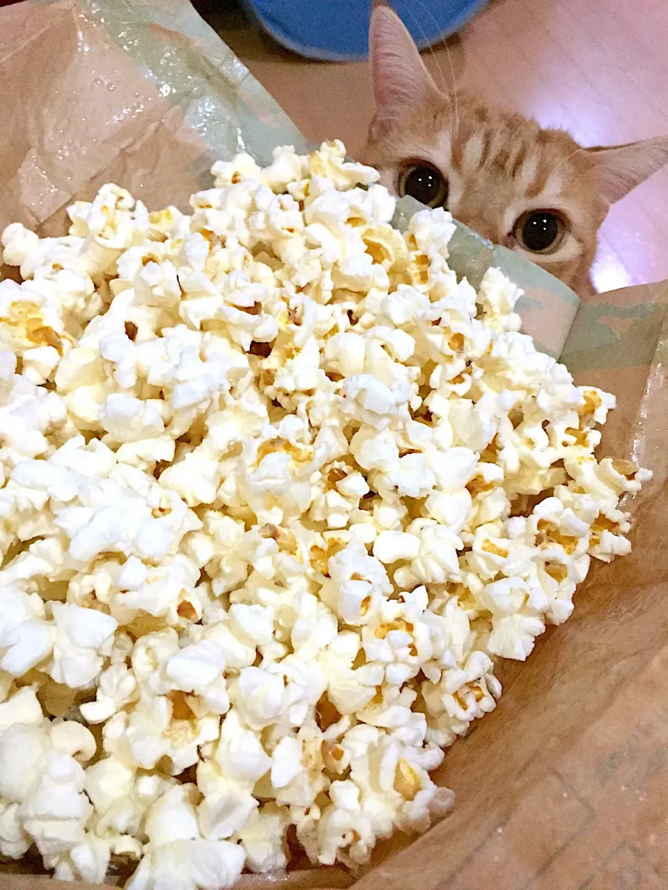 はじめてのポップコーン🍿|さくらんぼさん