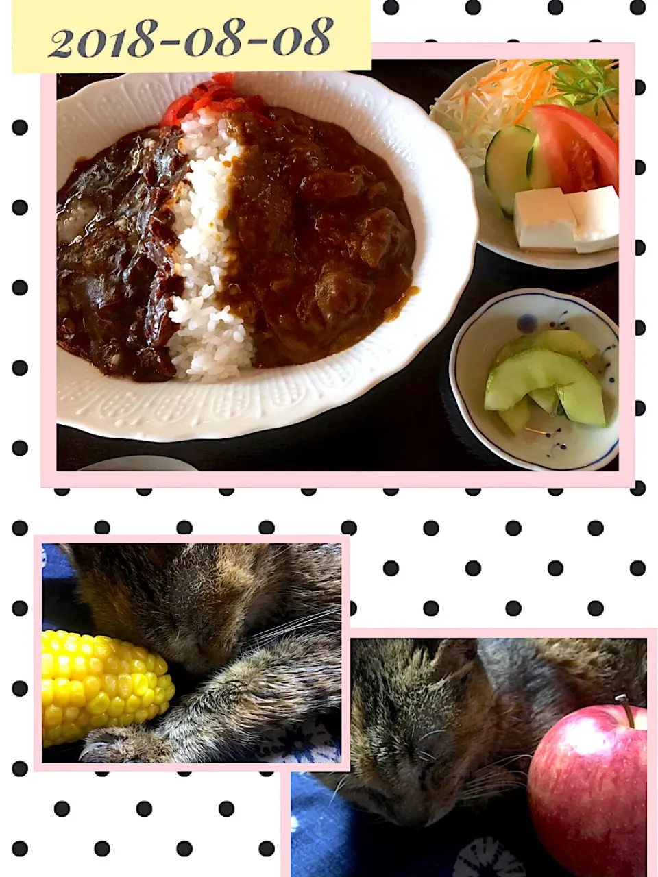 Snapdishの料理写真:本日の賄い(8/8  カレー&ハヤシライスの贅沢盛り❤️)
ちょっと置いてみた😆|かぴかぴさん