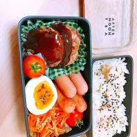 Snapdishの料理写真:ハンバーグ弁当🍱|りこさん