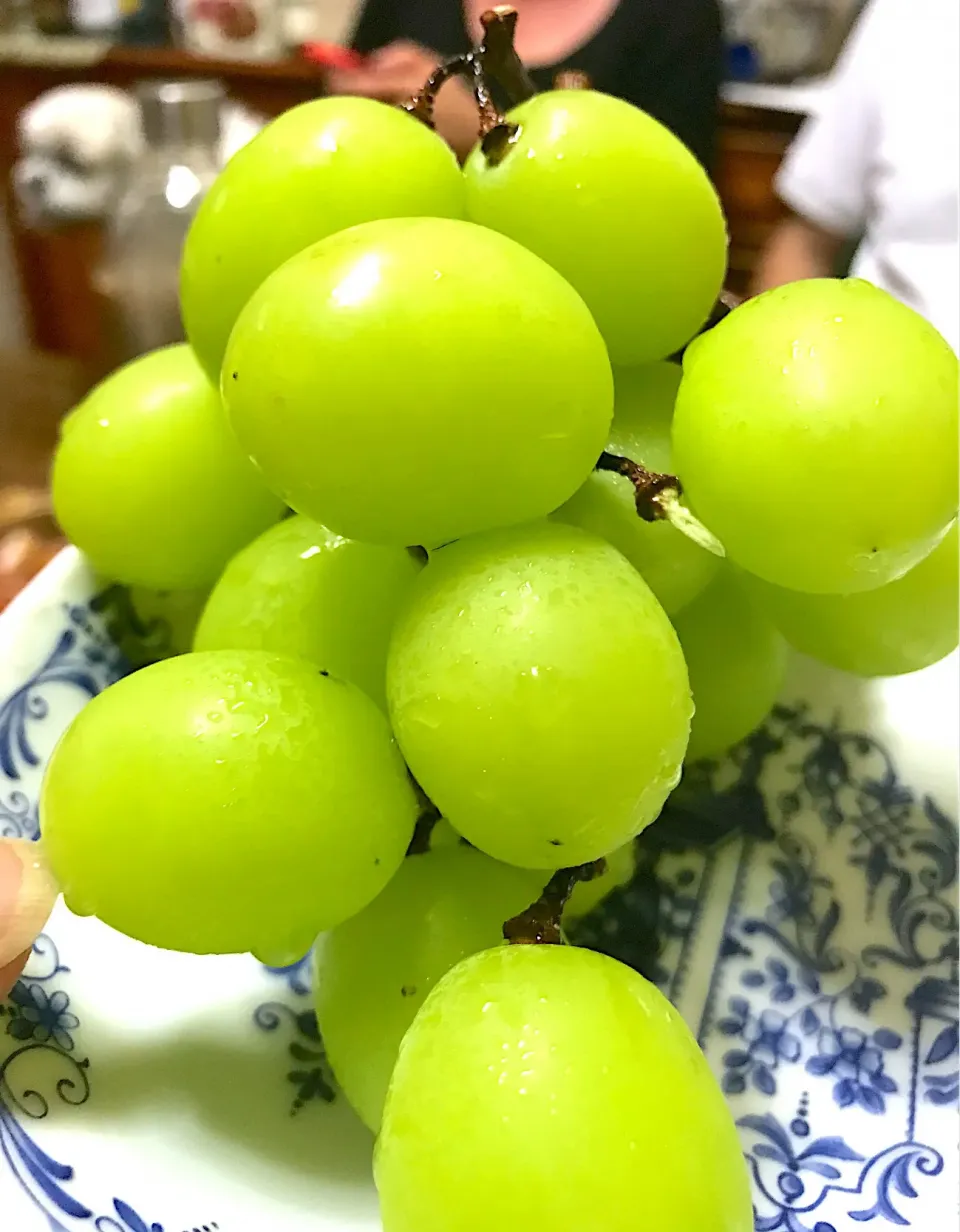 🍇 シャインマスカット食うよ😊|Toru Satoさん