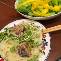 Snapdishの料理写真:鯖汁なし素麺とパプリカアスパラサラダ|さあやさん