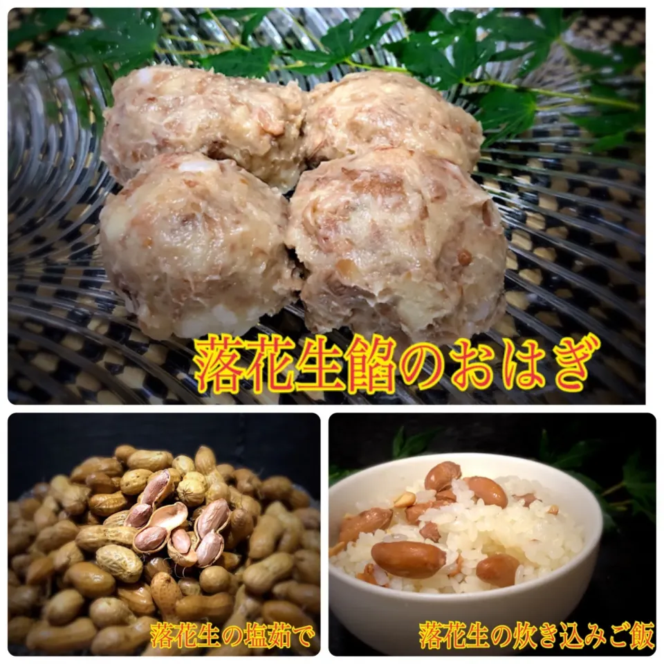 佐野未起の料理 hisoka7さんの料理 地豆の塩茹でからのぉ〜#落花生餡のおはぎ と#落花生の炊き込みご飯|佐野未起さん