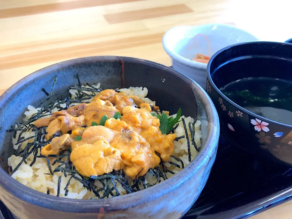 ２食のウニ食べ比べ丼
#赤ウニ#紫ウニ|LaLamamaさん